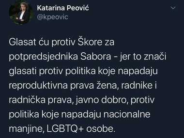HDZ-ov zastupnik Zulim bezumno je urlao da su mi preci bili koljači