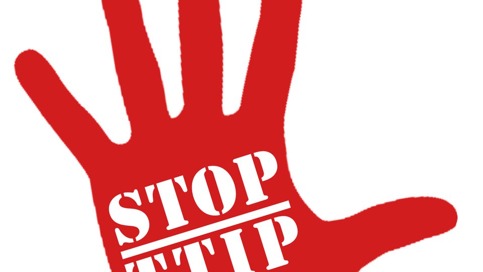 Pozadina Transatlantskog trgovinskog sporazuma (TTIP)