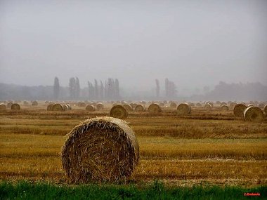 O Prijedlogu zakona o izmjenama i dopunama zakona o koncesijama