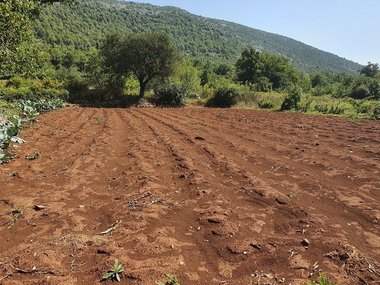 Upropašteno mljekarstvo