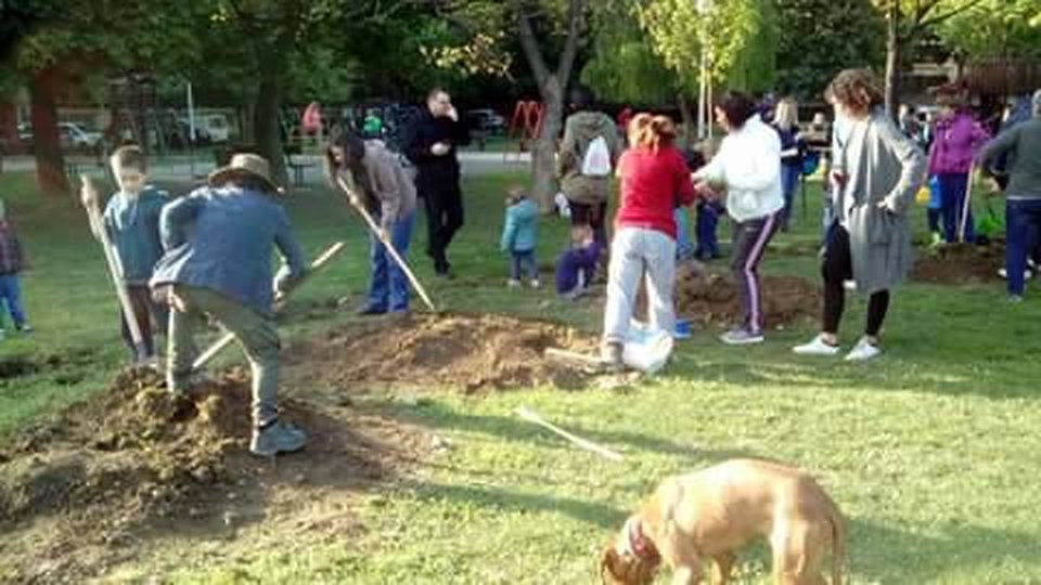 Nepokoreni grad: Spašen park na Savici!