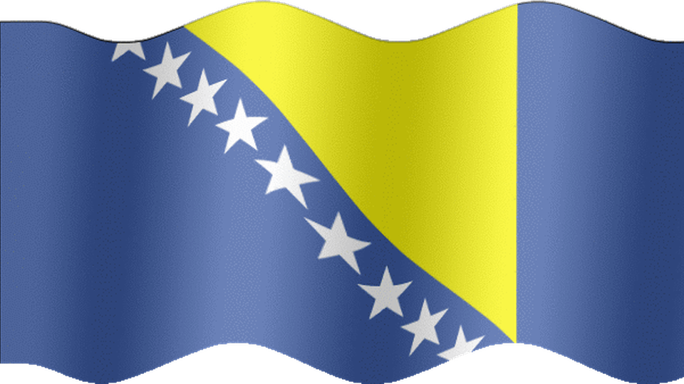 O izborima u Bosni i Hercegovini